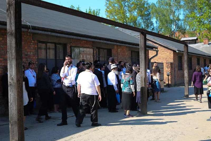 From Krakow: Auschwitz-Birkenau Guided Tour & Pickup Options - Between camps: why the timing feels tight