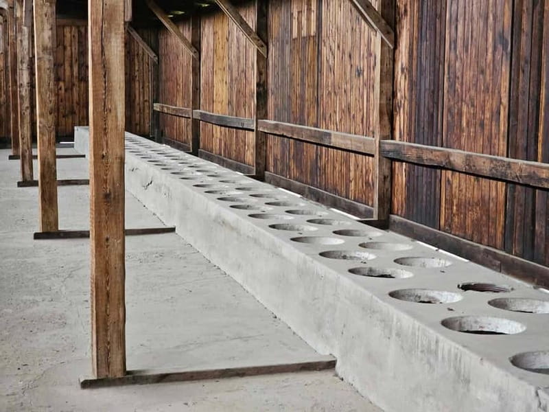 From Krakow: Auschwitz-Birkenau Guided Tour with Pickup - Timing reality check: early departures, queues, and what to plan for