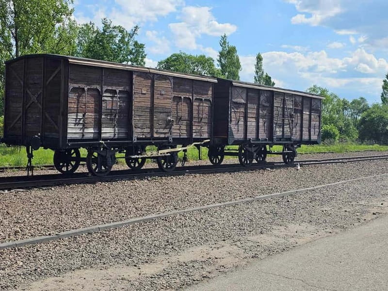 From Krakow: Auschwitz-Birkenau Guided Tour with Pickup - What you’re really paying for at $13