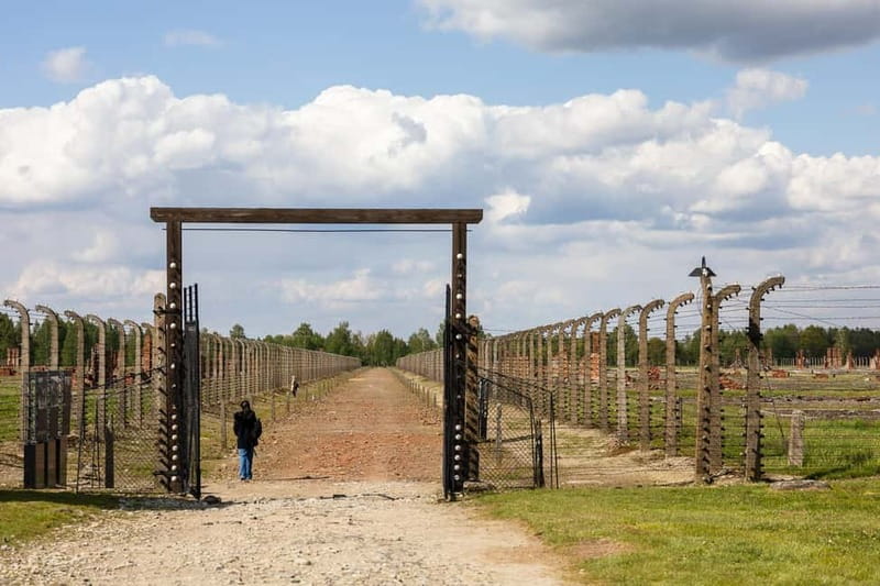 From Krakow: Auschwitz-Birkenau Guided Tour with Transport - Who This Tour Fits Best (And Who Might Be Happier Elsewhere)