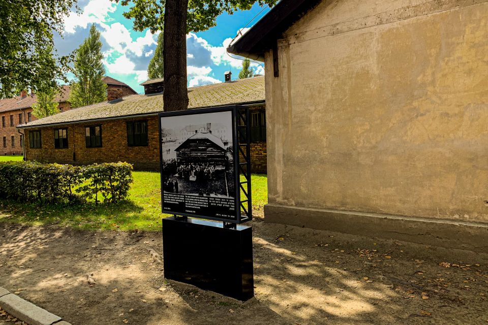 From Krakow: Auschwitz-Birkenau Memorial and Museum Tour - Who should book this Auschwitz-Birkenau tour from Krakow