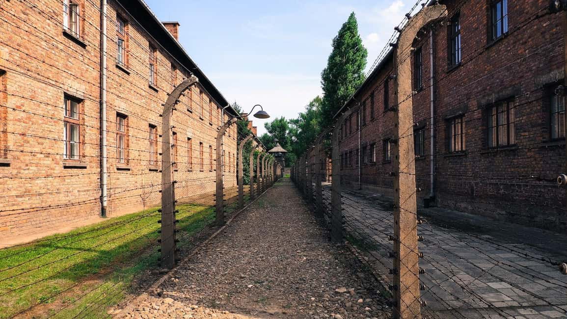 From Krakow: Auschwitz-Birkenau Memorial Private Tour - Languages and communication: getting the help you need