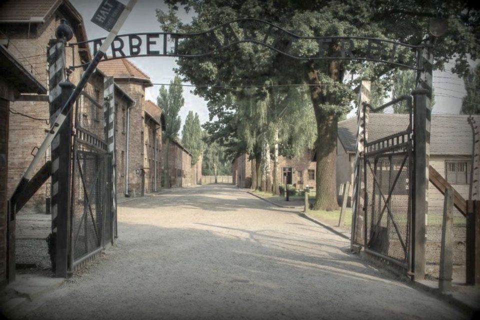 From Krakow: Auschwitz-Birkenau Private or Shared Tour - Who this Auschwitz-Birkenau tour is best for