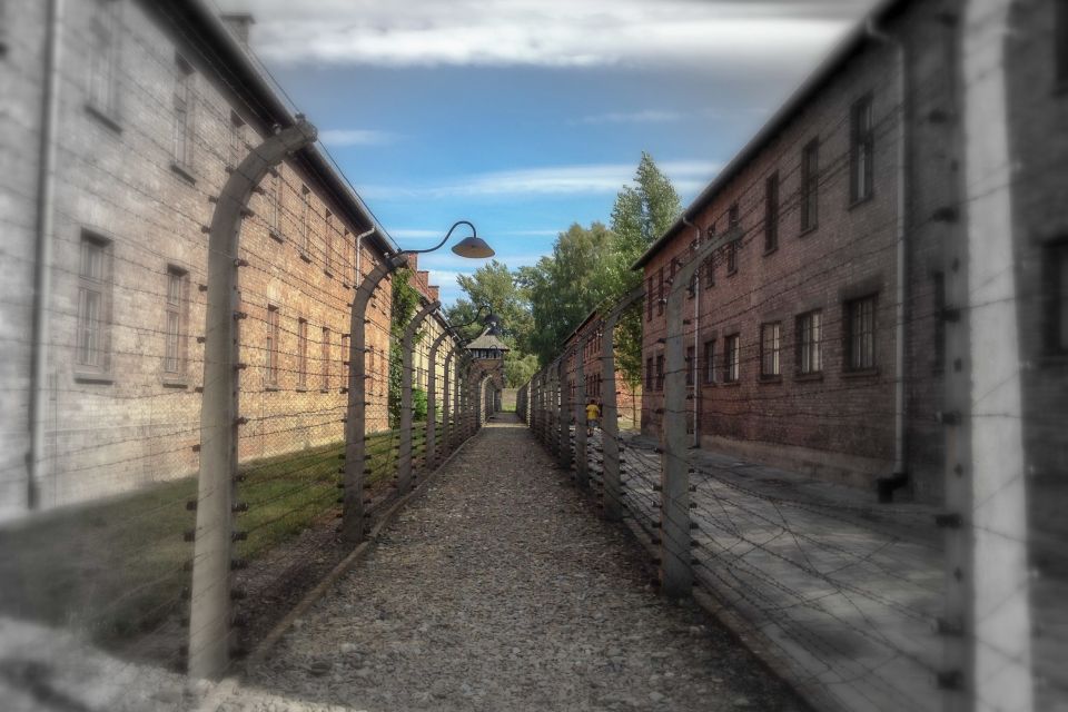 From Krakow: Auschwitz-Birkenau Private or Shared Tour - Practical rules that affect your comfort on the day