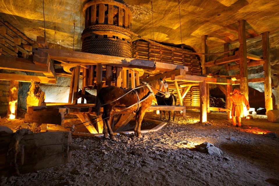 From Krakow: Auschwitz-Birkenau & Salt Mines with Lunch - The Big Picture: A 10-Hour Krakow Combo That Works