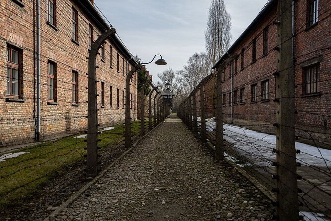 From Kraków: Auschwitz-Birkenau Tour with Lunch Box and Pick Up - Moving to Birkenau: huge scale, more walking, same narrative thread
