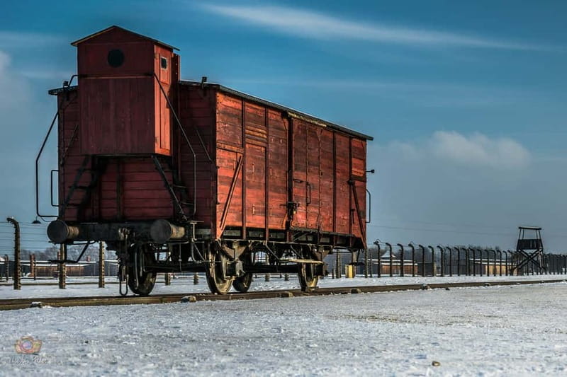 From Krakow: Auschwitz-Birkenau Tour with Transportation - The coach ride to Oświęcim: comfortable transit and real support