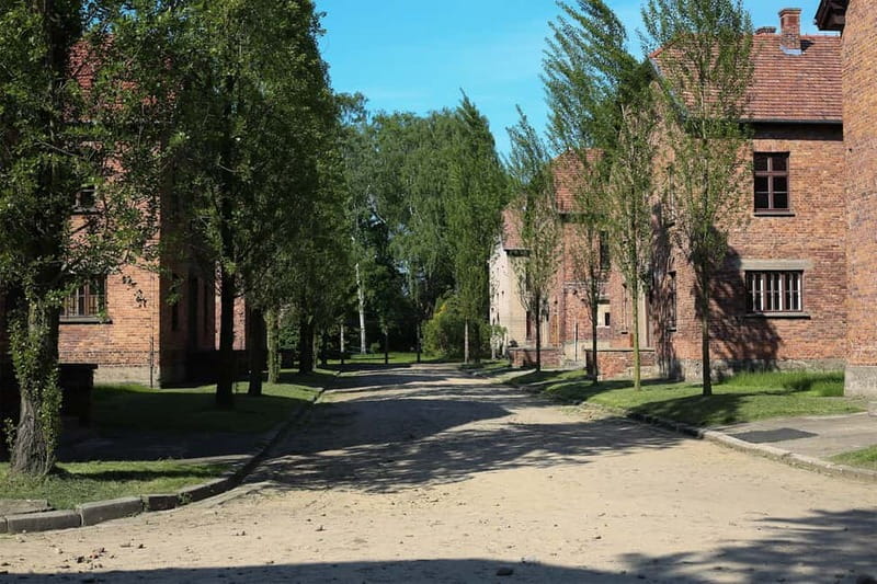 From Krakow: Auschwitz Museum and Wieliczka Salt Mine Tour - Should you book this Auschwitz-Birkenau and Wieliczka Salt Mine tour from Kraków?