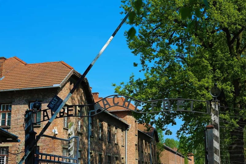 From Krakow: Auschwitz Museum and Wieliczka Salt Mine Tour - Auschwitz-Birkenau with an English guide: how to make sense of a hard place