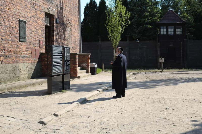 From Krakow: Auschwitz Museum and Wieliczka Salt Mine Tour - Who this Auschwitz and Wieliczka tour suits best