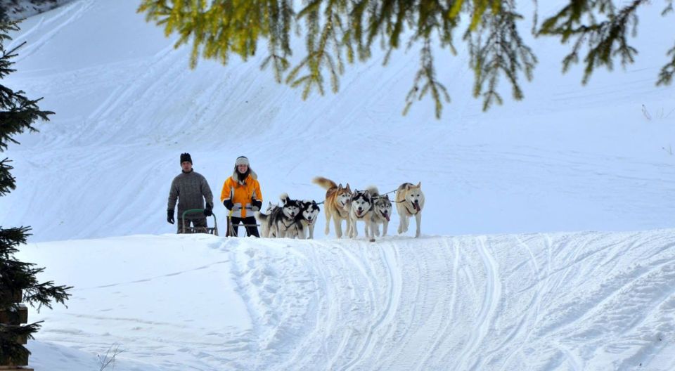 From Krakow: Dogsled Ride in Tatra Mountain - Kraków to the Tatra Mountains: the drive sets the tone