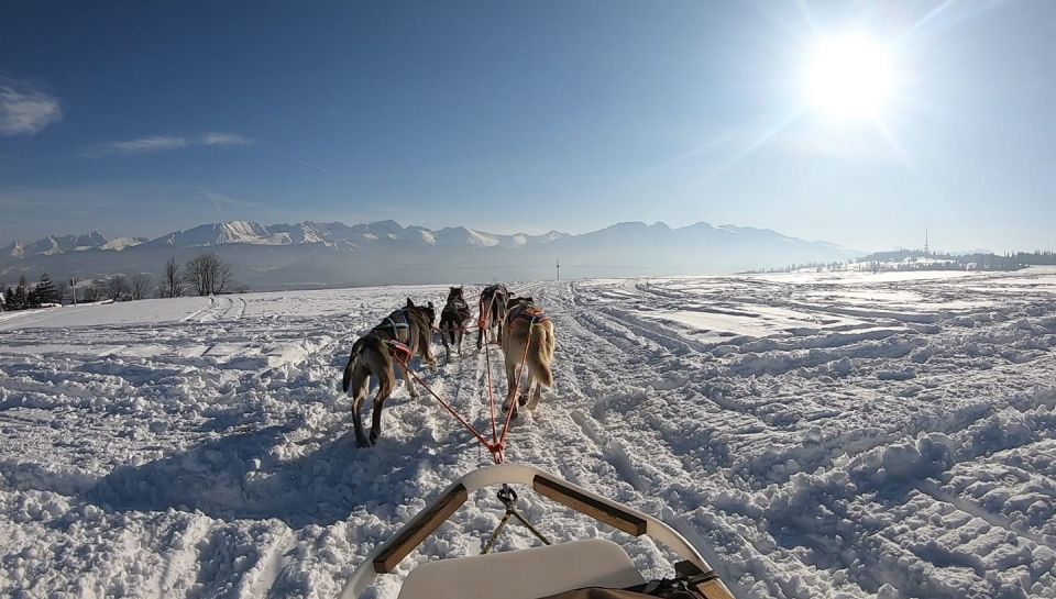 From Krakow: Dogsled Ride in Tatra Mountain - FAQ