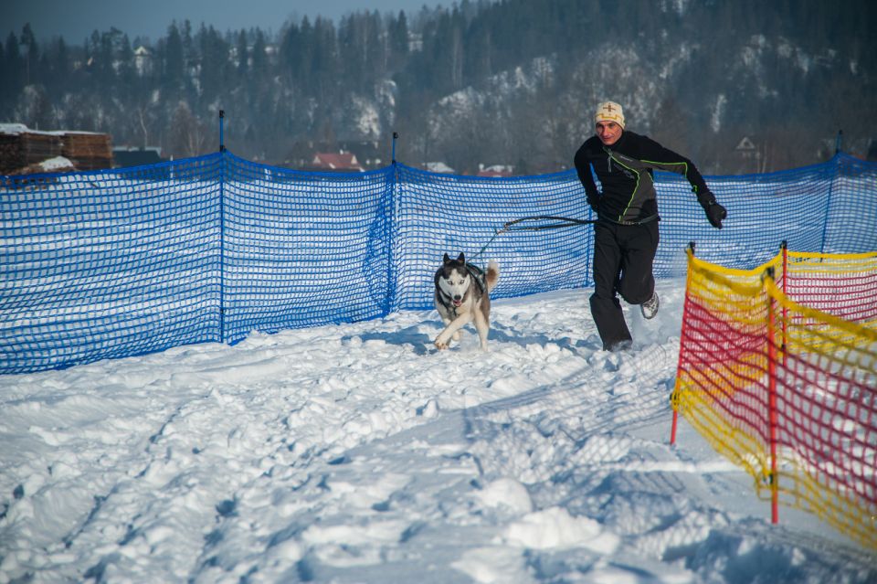 From Krakow: Dogsled Ride in Tatra Mountain - Your 2 km dogsled ride: fast, focused, and built for winter