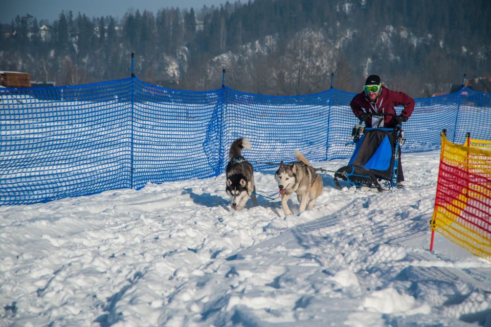 From Krakow: Dogsled Ride in Tatra Mountain - Who this tour fits best (and who should skip it)