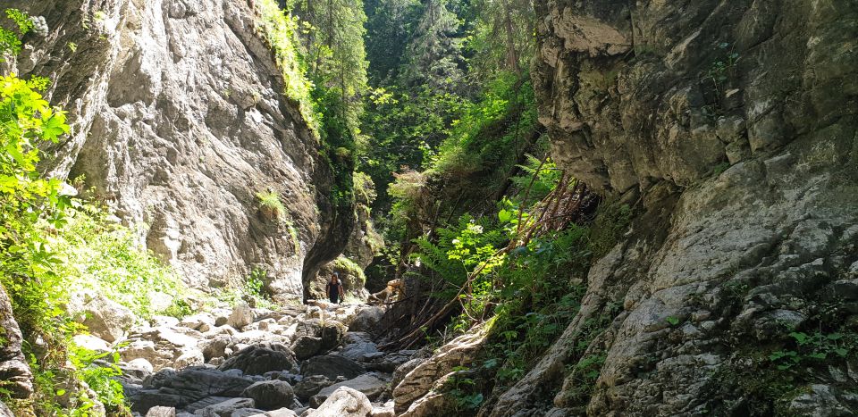 From Krakow: Hiking in the Tatra Mountains and Thermal baths - Should you book this from Kraków?
