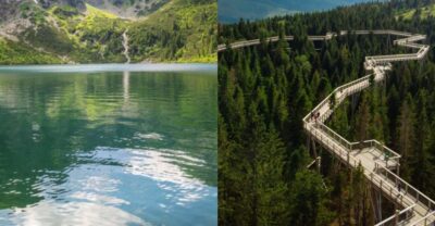 From Krakow: Morskie Oko and Slovakia Treetop Walk - Ždiar and the treetop trail: stepping into the canopy