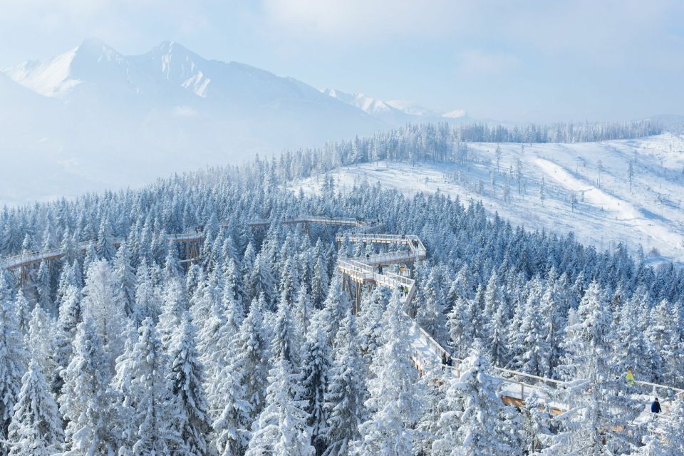 From Krakow: Morskie Oko and Slovakia Treetop Walk - Driver and service: the part that quietly makes the day easier