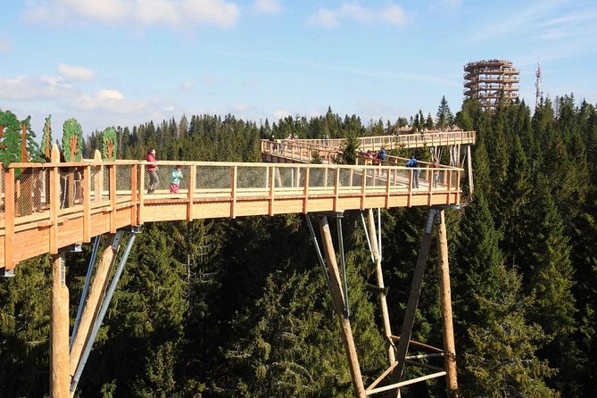 From Krakow: Morskie Oko in the Tatra Mountains and Slovakia Treetop Walk - Slovakia’s Treetop Walk by Cableway: Viewpoints Without the Long Climb