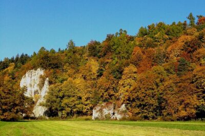 From Krakow: Ojcow National Park and Pieskowa Skala Castle - The drive in: learning the park while the rocks appear