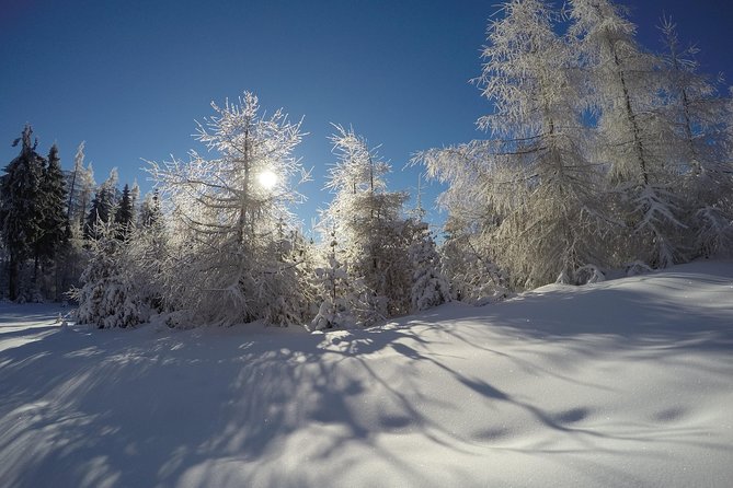 From Krakow: Siepraw Skiing for Beginners - Your Up-to-3-Hour Ski Session: What the Time Feels Like