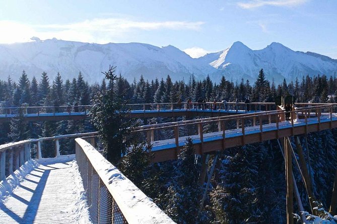 From Kraków: Slovakia Treetop Walk and Bachledka Ski - Key Things to Know Before You Go