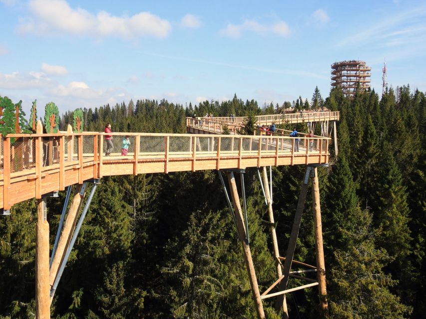 From Kraków: Slovakia Treetop Walk and Tour of Zakopane - The 60-meter slide: choose your level of courage