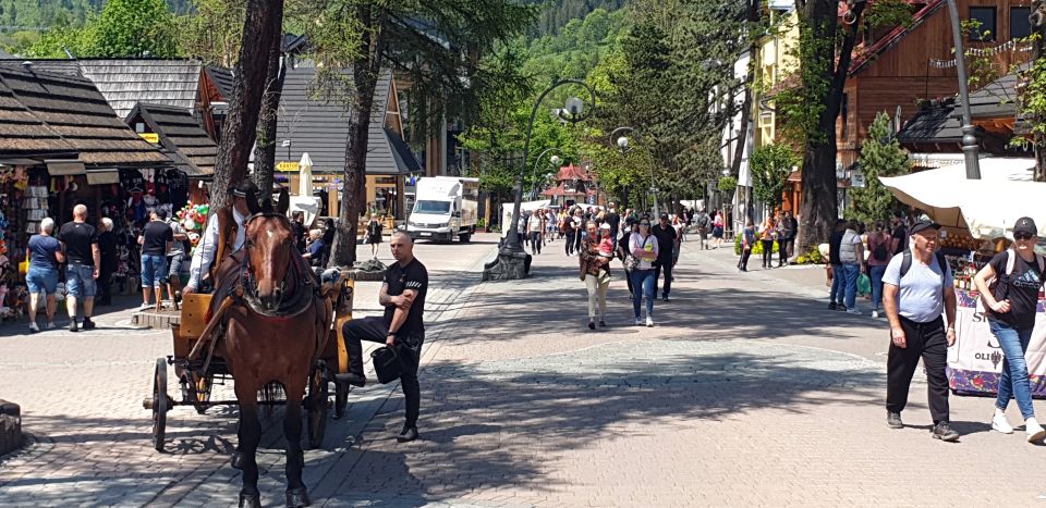 From Krakow: Slovakia Treetop Walk and Zakopane Tour - Should you book this Krakow-to-Slovakia Treetop Walk and Zakopane tour?