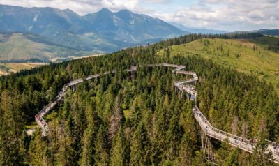 From Krakow: Slovakia Treetop Walk and Zakopane Tour - From Krakow by van: what the long drive buys you