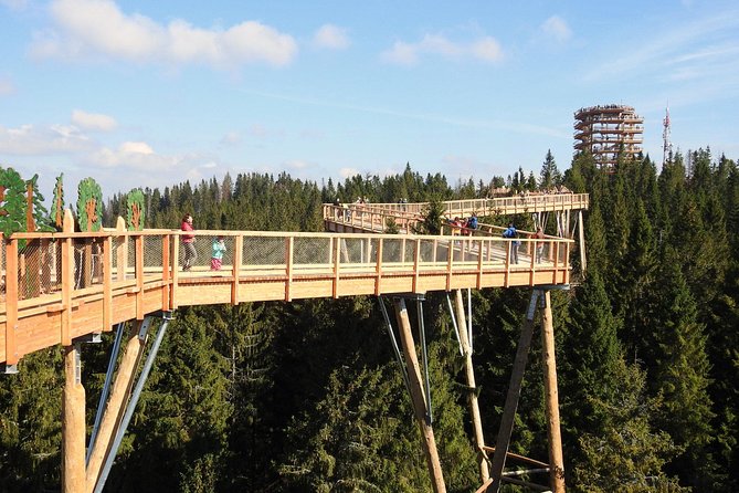 From Kraków: Slovakia Treetop Walk Bachledka and Zakopane - Two countries in one day: how the pacing really works