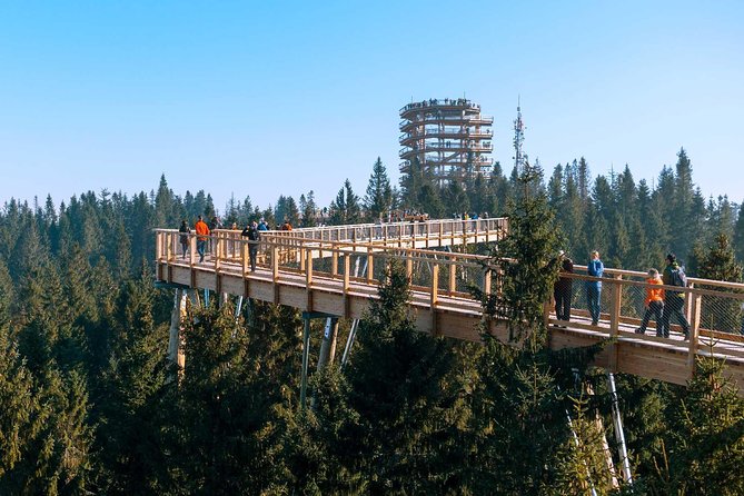 From Kraków: Slovakia Treetop Walk Bachledka and Zakopane - Driver and language expectations: the biggest make-or-break point