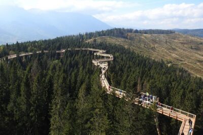 From Kraków: Slovakia Treetop Walk Bachledka and Zakopane - Bachledka treetop walk: 30–40 minutes of uphill effort, then tree-crown magic