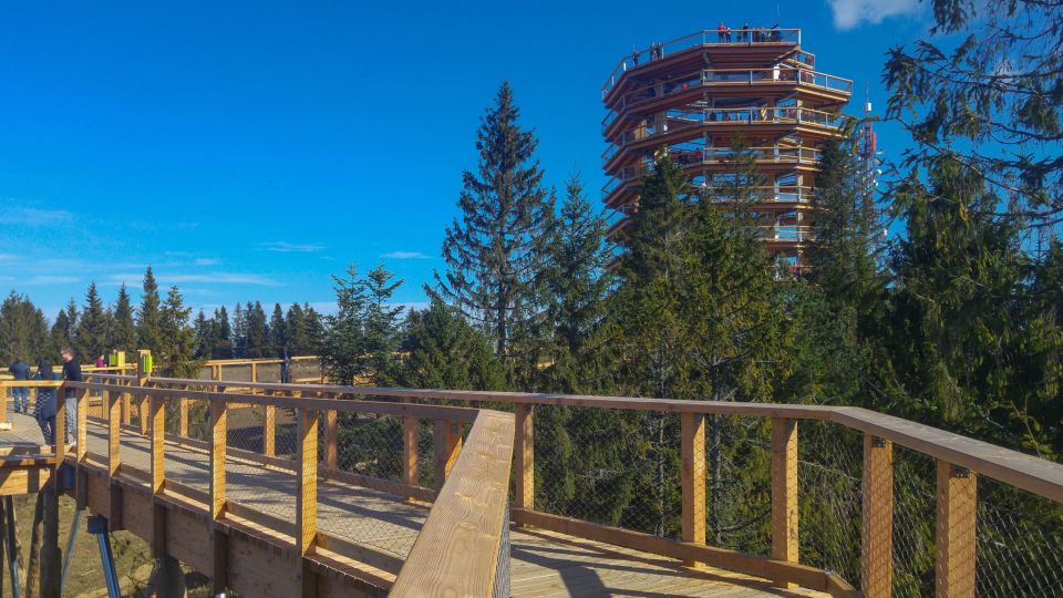 From Krakow: Slovakia Treetop Walk, Zakopane & Thermal Spa - A Full-Day Loop: Treetops, Tatras Town, and Thermal Warmth
