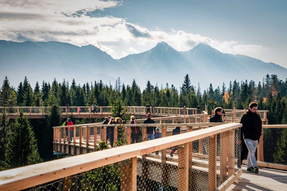 From Krakow: Slovakia Treetop Walk, Zakopane & Thermal Spa - What You Learn and Spot: Forest Ecology and Belianske Tatras Views
