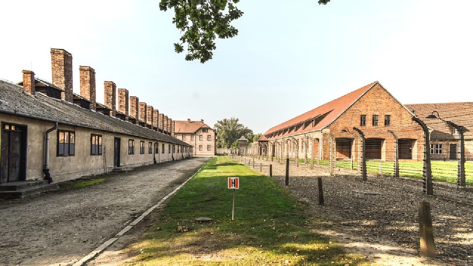 From Krakow: Wieliczka Salt Mine & Auschwitz Guided Trip - Auschwitz I and II: what the guided plan really gives you