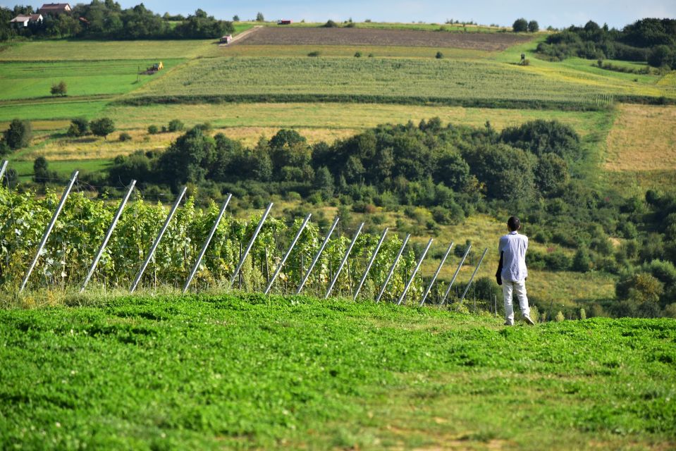 From Krakow: Wine Tasting at Vineyard - Should you book it? My take
