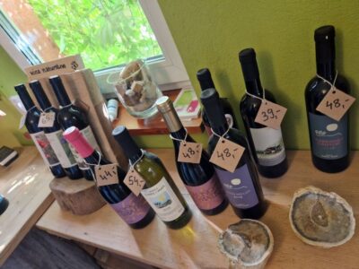 From Krakow: Wine Tasting at Vineyard - The Vineyard Walk and Organic Methods: what you actually learn on site