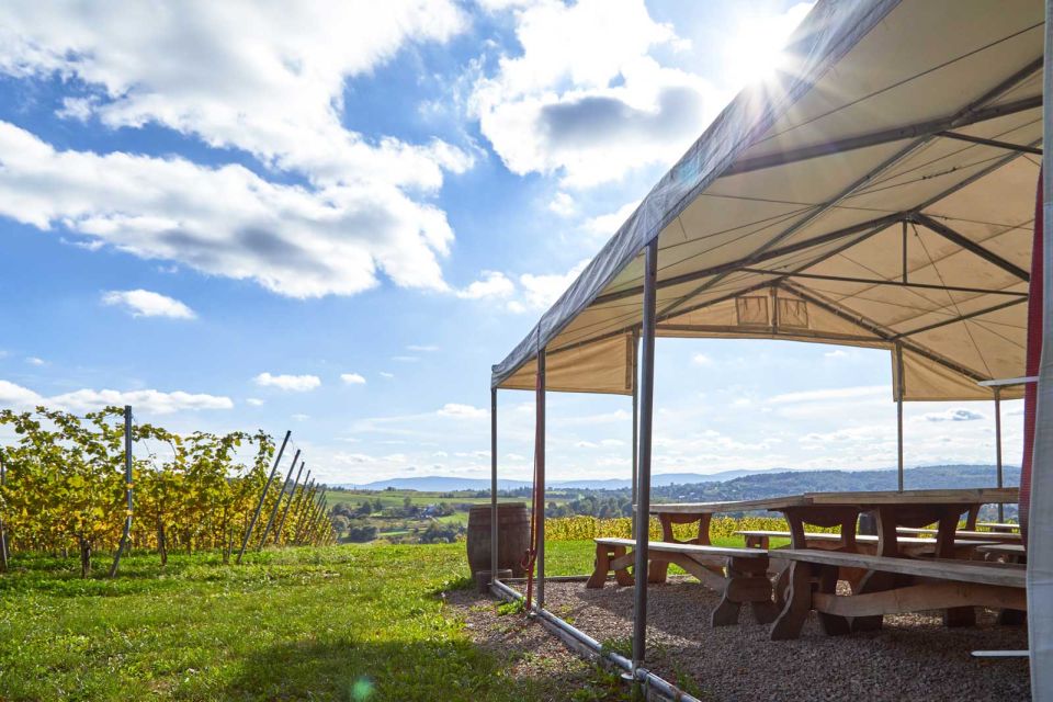 From Krakow: Wine Tasting at Vineyard - The Tasting Portion: 4 wines or ciders and how to make it work for you