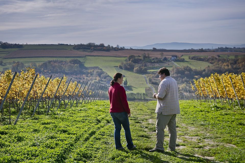 From Krakow: Wine Tasting at Vineyard - Price and value: is $224 for 3 hours worth it?
