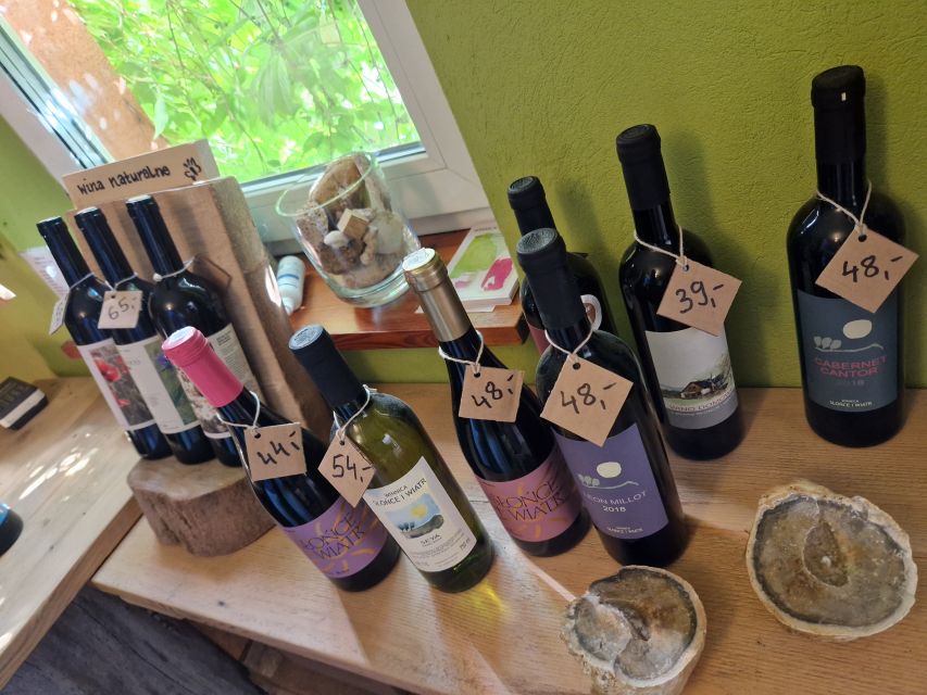 From Krakow: Wine Tasting at Vineyard - The Vineyard Walk and Organic Methods: what you actually learn on site