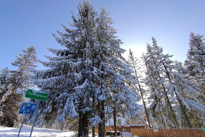 From Krakow: Zakopane & Chocholowskie Thermal Baths - Door-to-Door Transfers and a Small Private Group (Not a Crowd Squeeze)