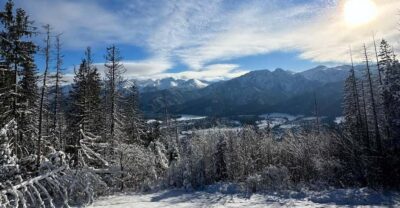 From Krakow: Zakopane Day Trip with Funicular & Food Tasting - Chocholow village: the wooden-house stop that makes the region feel authentic