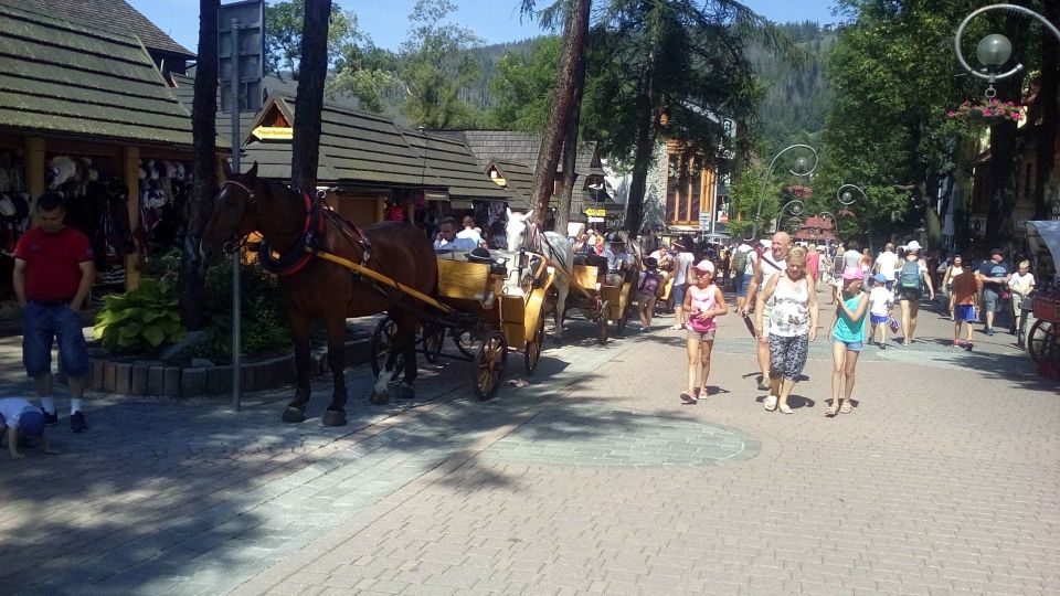 From Krakow: Zakopane & Hot Thermal Springs Private Tour - Weather, timing, and comfort: how to make the day easier
