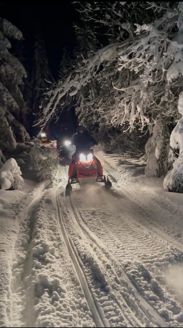 From Krakow: Zakopane Snowmobile NIGHT Ride, Bonfire, - Krakow to Zakopane: the ride that sets the mood