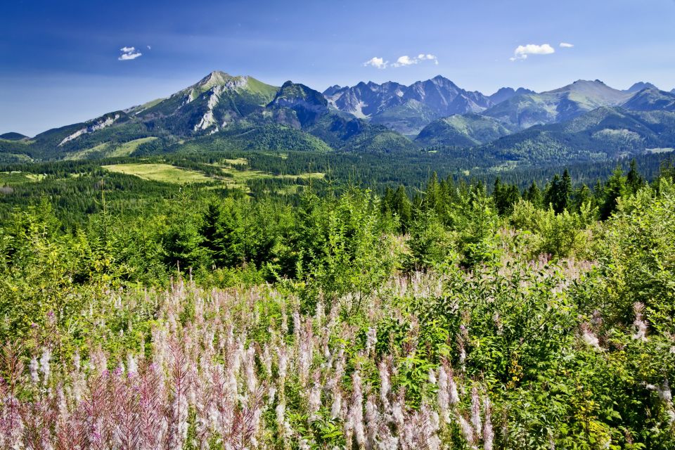 From Krakow: Zakopane Tatra Mountains & Hot Springs Tour - Krupówki Street: Souvenirs, People-Watching, and Quick Local Flavor