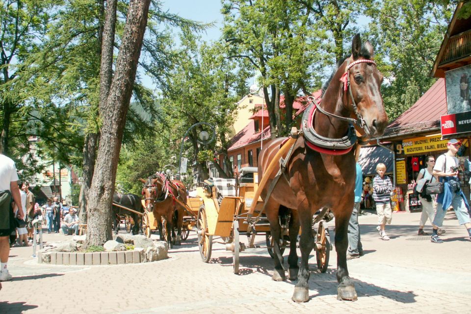 From Krakow: Zakopane & Tatra Mountains Tour - Price and Value: What You’re Getting for About $122