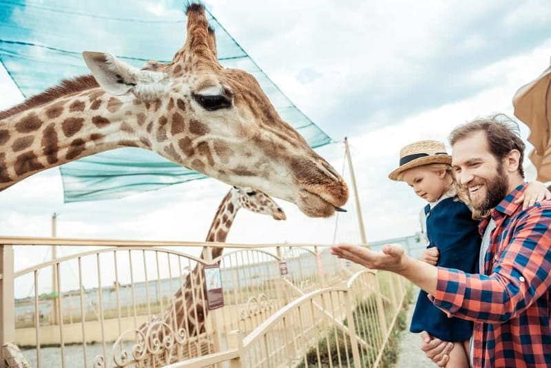 From Krakow: Zoo Trip with Private Luxury Transfer - The animals: 1,400+ residents across 270 species
