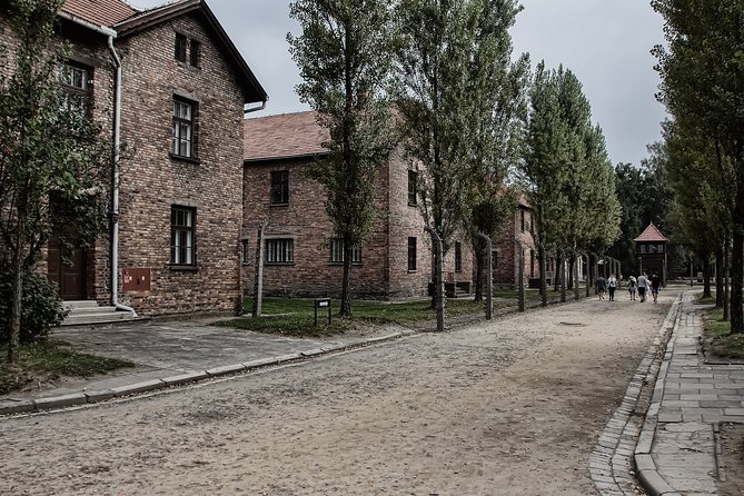 Full-Day Auschwitz and Birkenau Tour from Krakow with Private Transfer - Who should book this tour from Krakow (and who might reconsider)