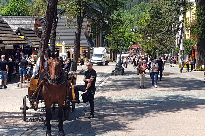 Full-Day Dunajec Rafting and Zakopane Tour from Krakow - The English Experience and Your Guide’s Style