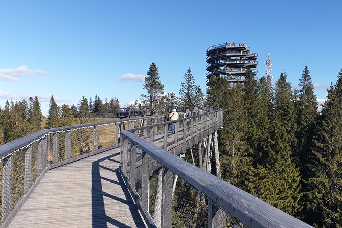 Full-Day Private Tour of Slovakia Treetop Walk and Zakopane - Bachledka Treetop Walk: your ticket to walking above the forest