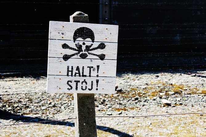 Full-Day Tour of Auschwitz-Birkenau and Salt Mine from Krakow - Getting There in an Air-Conditioned Minivan (and Why It Matters)